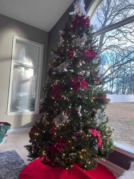 Photo of free Christmas Tree (Severn) #1