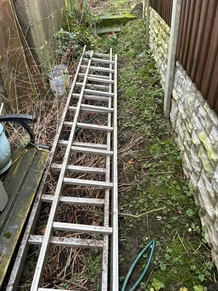 Photo of free Long ladders (Stanhill BB5) #2