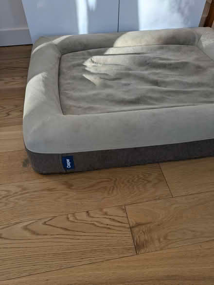 Photo of free Casper dog bed (Victoria / Venables) #2