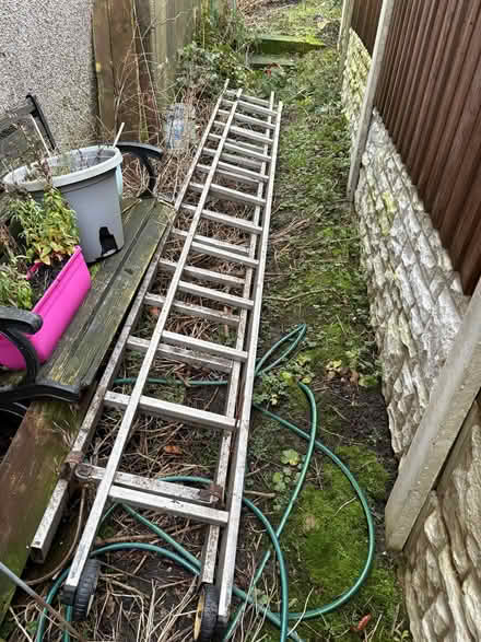 Photo of free Long ladders (Stanhill BB5) #1