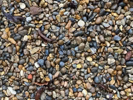 Photo of free Gravel / pea shingle (SW2 - Brixton) #2