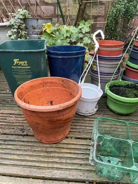 Photo of free Empty plastic plant pots (Queens Park CH3) #3