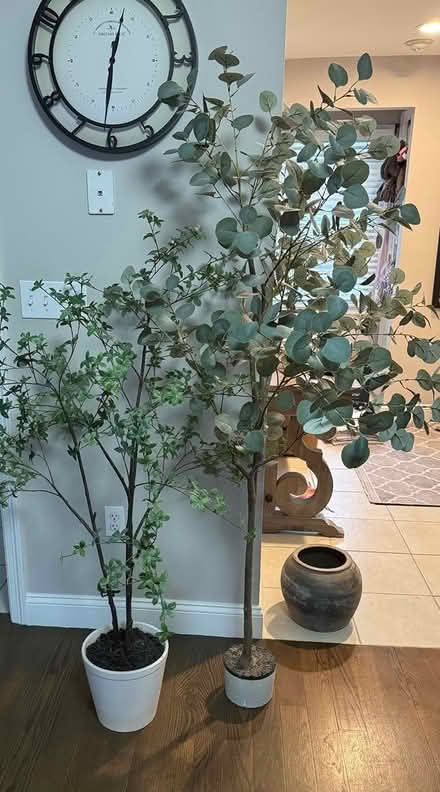 Photo of free 2 Faux Trees (Wakefield) #3