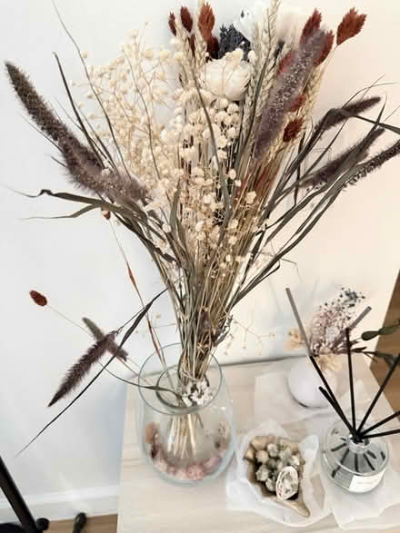 Photo of free Dry flowers (Midtown west) #2