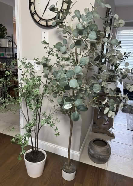 Photo of free 2 Faux Trees (Wakefield) #1