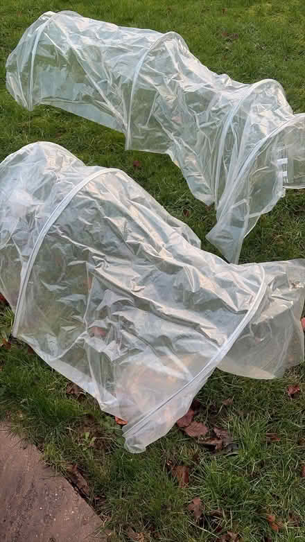 Photo of free poly tunnel (NN3 Meadowfields) #1