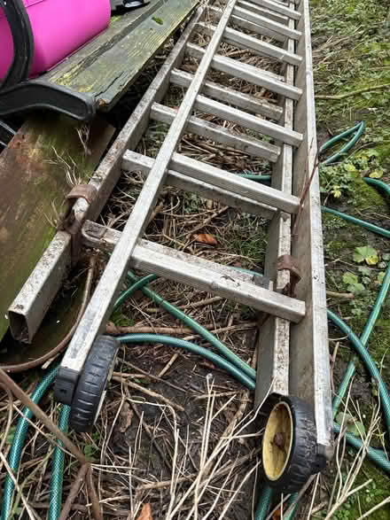 Photo of free Long ladders (Stanhill BB5) #3