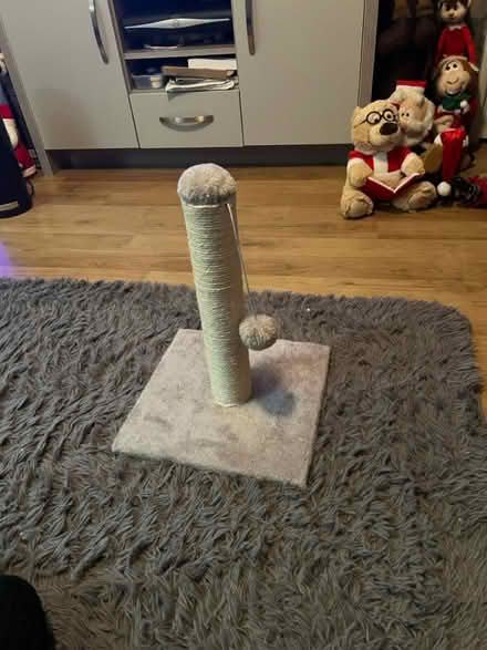 Photo of free Kitten Scratch Post (Sonning RG4) #1