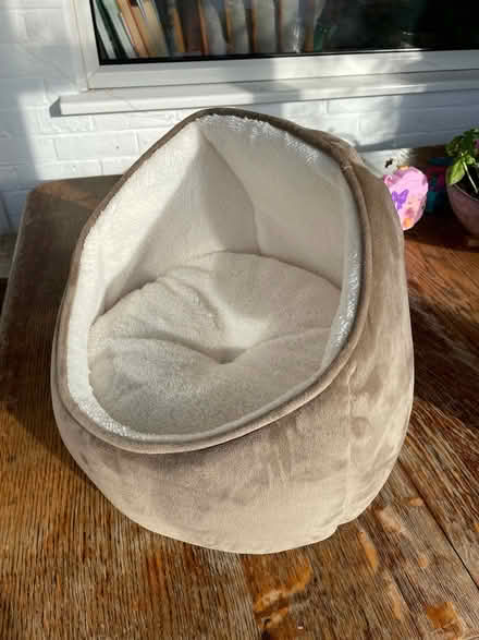 Photo of free Cat Bed (Tonbridge (north)) #1
