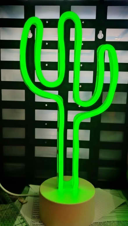 Photo of free Neon Cacti (L25) #1