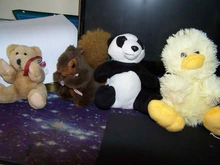 Photo of free cuddle type fluffies (mickekhurst rd area mossley) #2