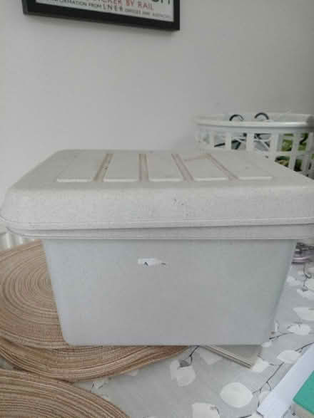 Photo of free Box of feathers for fishing flies (Chiswell Green AL2) #1