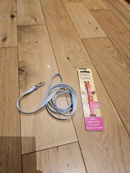 Photo of free Kitten collar and lead (Oval Quarter SW9) #1