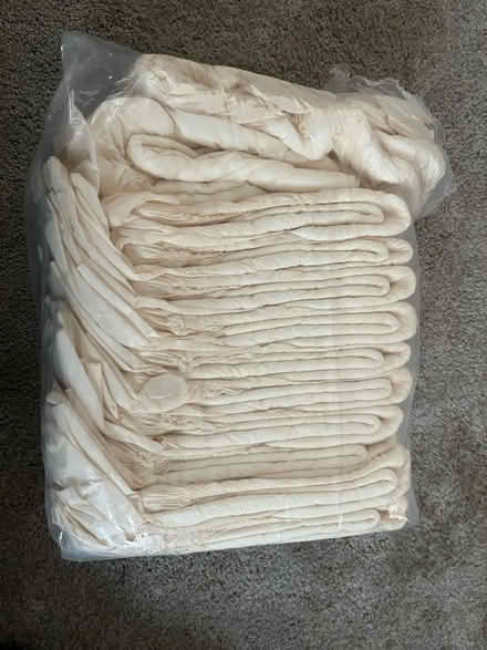 Photo of free 12 pack of adult disposable diapers (Lansdale) #1