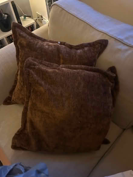 Photo of free Pair of Feather Cushions (Luton LU3) #1