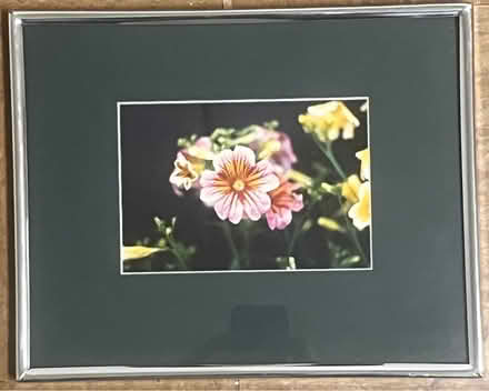 Photo of free Photograph with frame #3 (Tenleytown, DC) #1