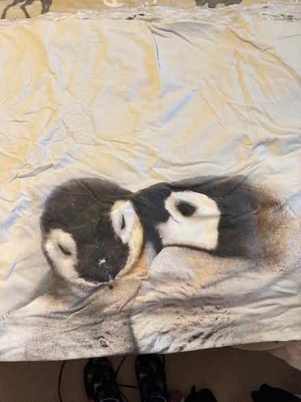 Photo of free Double Duvet Set (Penrith CA11) #3