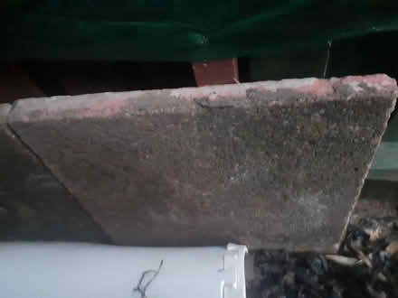 Photo of free Patio slabs (Alexandria) #1