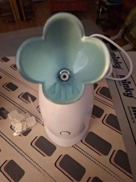 Photo of free Electriconic Facial Steamer (crouch end, N8) #3