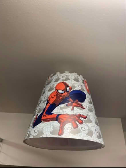 Photo of free Spider lamp shade (Bishop street N1 8) #4