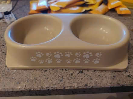 Photo of free Cat bowl (SW16) #1