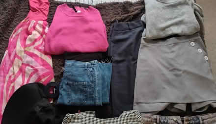 Photo of free Women's clothes (EU42) (Beckenham hill) #1