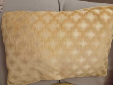 Photo of free Cushion (Teddington TW11) #1