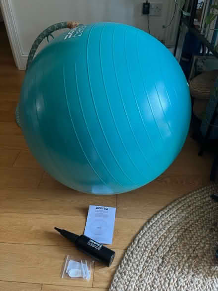 Photo of free Gym ball Core balance (SW155DU) #1
