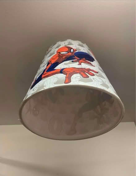 Photo of free Spider lamp shade (Bishop street N1 8) #1