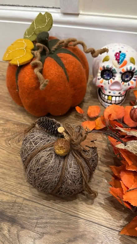 Photo of free Halloween Decorations (SW11 Battersea) #2