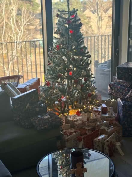 Photo of free 6ft Snowy Effect Christmas Tree (Woking) #1