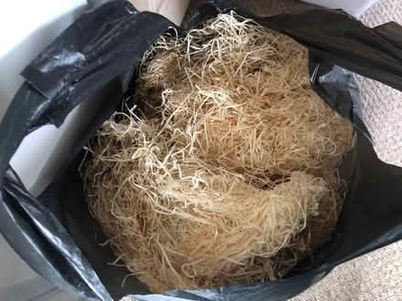 Photo of free Shredded tissue/ wood wool/ raffia (Honor Oak/ Forest Hill SE23) #1