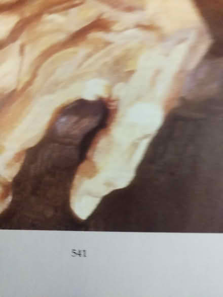 Photo of free Book (Harrisville) #4