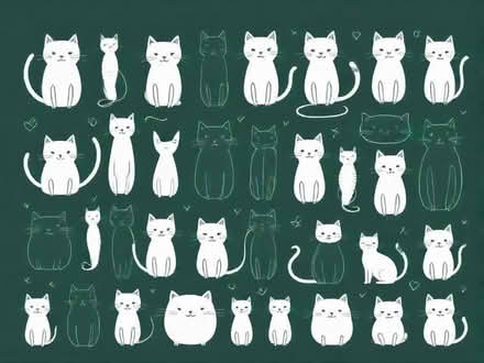 Photo of free items for cats (Cam GL11) #1