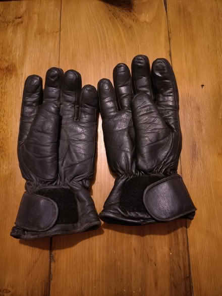 Photo of free Medium/large leather gloves (Ecclesall S11) #2