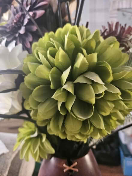 Photo of free Artificial flowers (Ashton in Makerfield WN4) #2