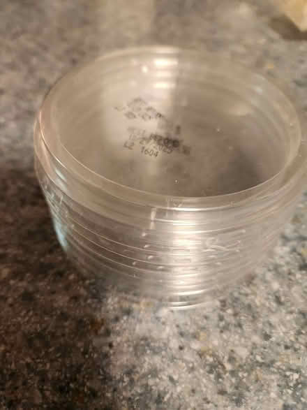 Photo of free half a dozen Ellenos lids (Wedgwood, Seattle, WA, US) #1