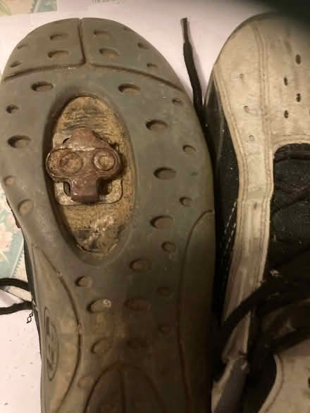 Photo of free Cycling shoes (Bloomsbury WC1H) #2
