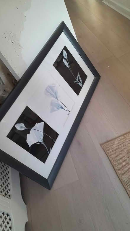 Photo of free Picture (Clondalkin) #2