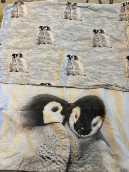 Photo of free Double Duvet Set (Penrith CA11) #2