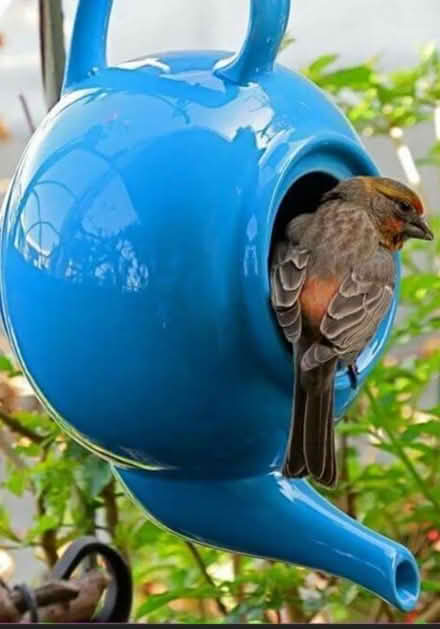 Photo of old Delph teapots (Passage East) #1