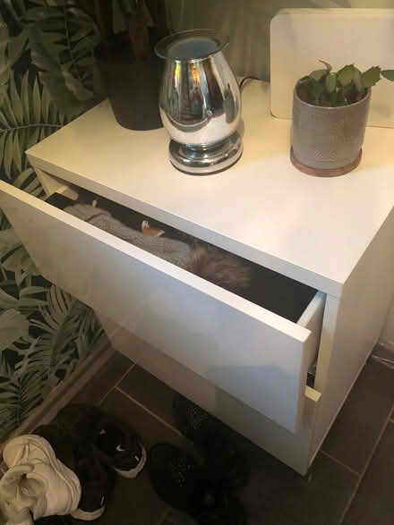 Photo of free Lovely white cabinet (Bedworth CV12) #3