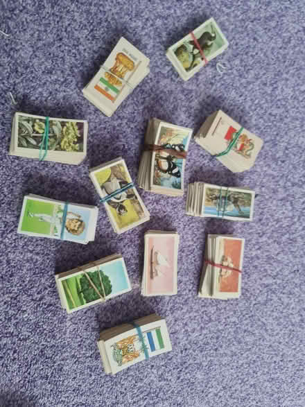 Photo of free Variety Card Sets (Bovingdon) #1