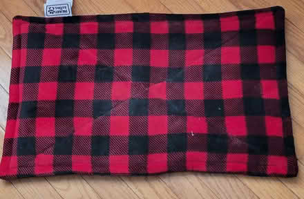 Photo of free Cat/pup rest area (Prospect Heights) #1