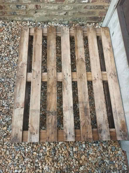 Photo of free Large solid Pallet (PO21 1DJ) #1