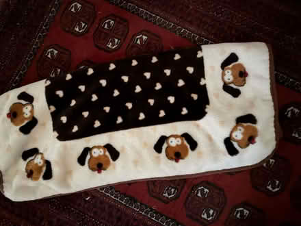 Photo of free Dog items (Porter Square) #3