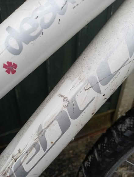 Photo of free Ridgeback girls bike (Dovecote BS37) #4