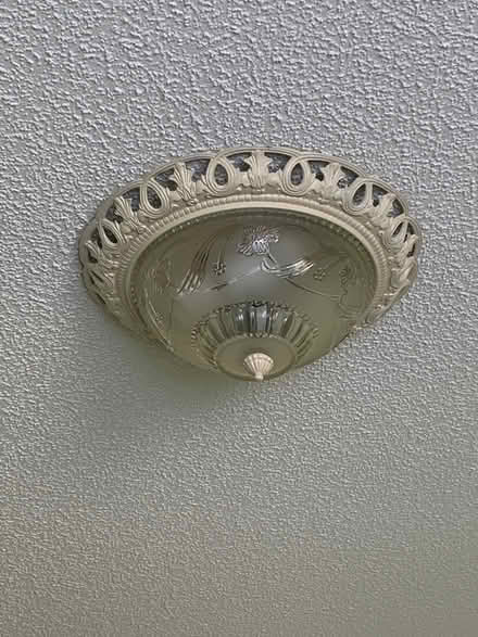 Photo of free Ceiling light (Orleans - Chapel Hill South) #2
