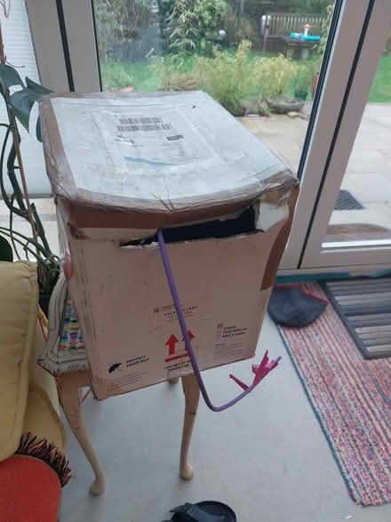 Photo of free Network Cable. Cat 6 (Kempsey WR5) #1