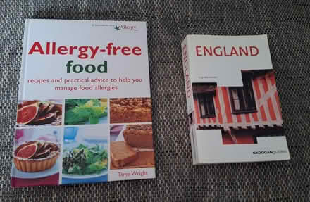 Photo of free 2 books (Trowbridge BA14) #1